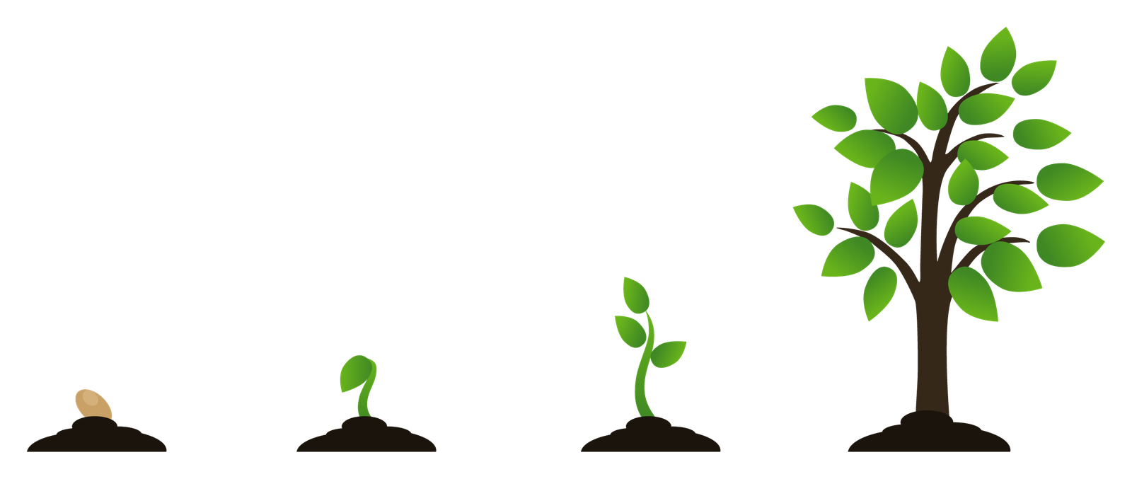 種から芽が出て、少しずつ大きく育っていく植物のイラスト